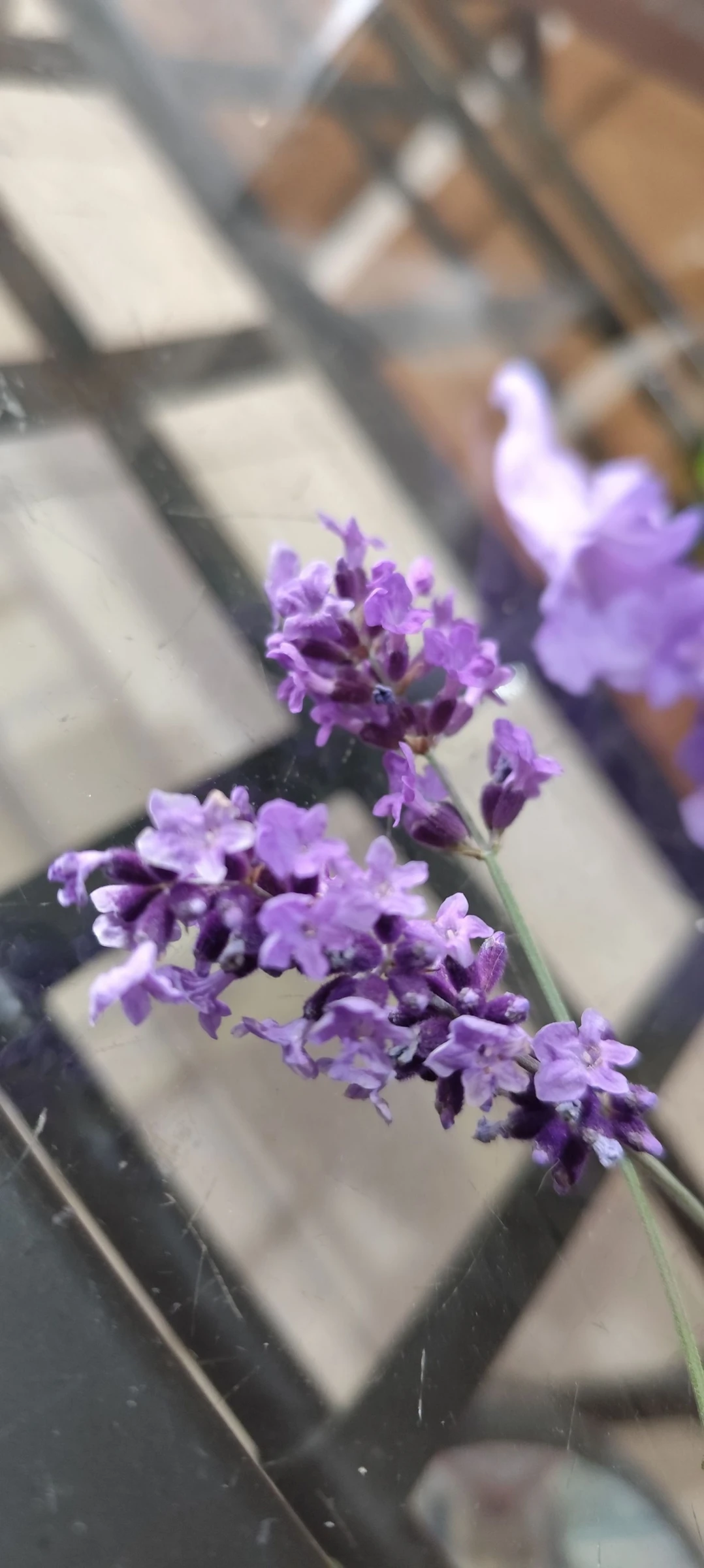 Brincos #XXL #Flores Azuis 💙💙 – photo 12